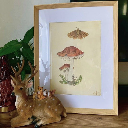 Champignon et Papillon Tableau - Dessin Original au Crayon de Couleur